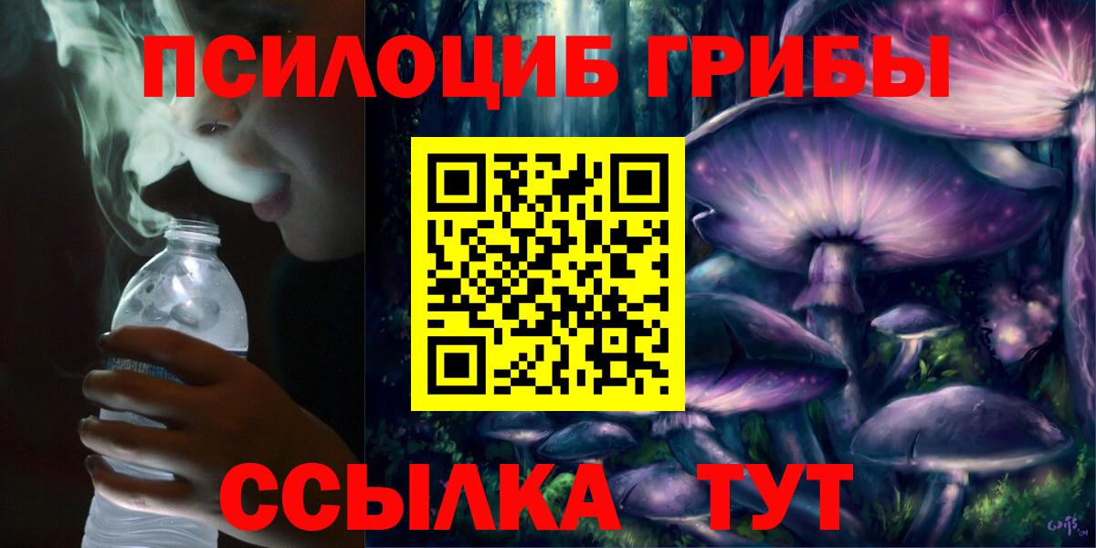 Псилоцибиновые грибы ЛСД Богородицк